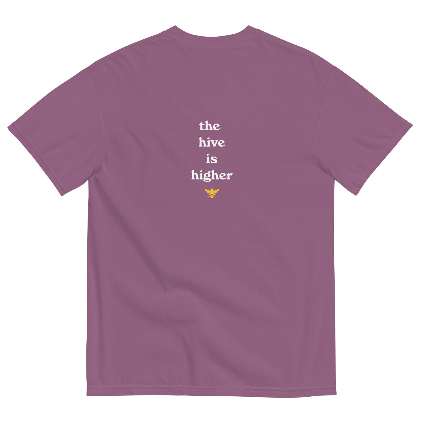 Aspen Summer Academy logo T-Shirt