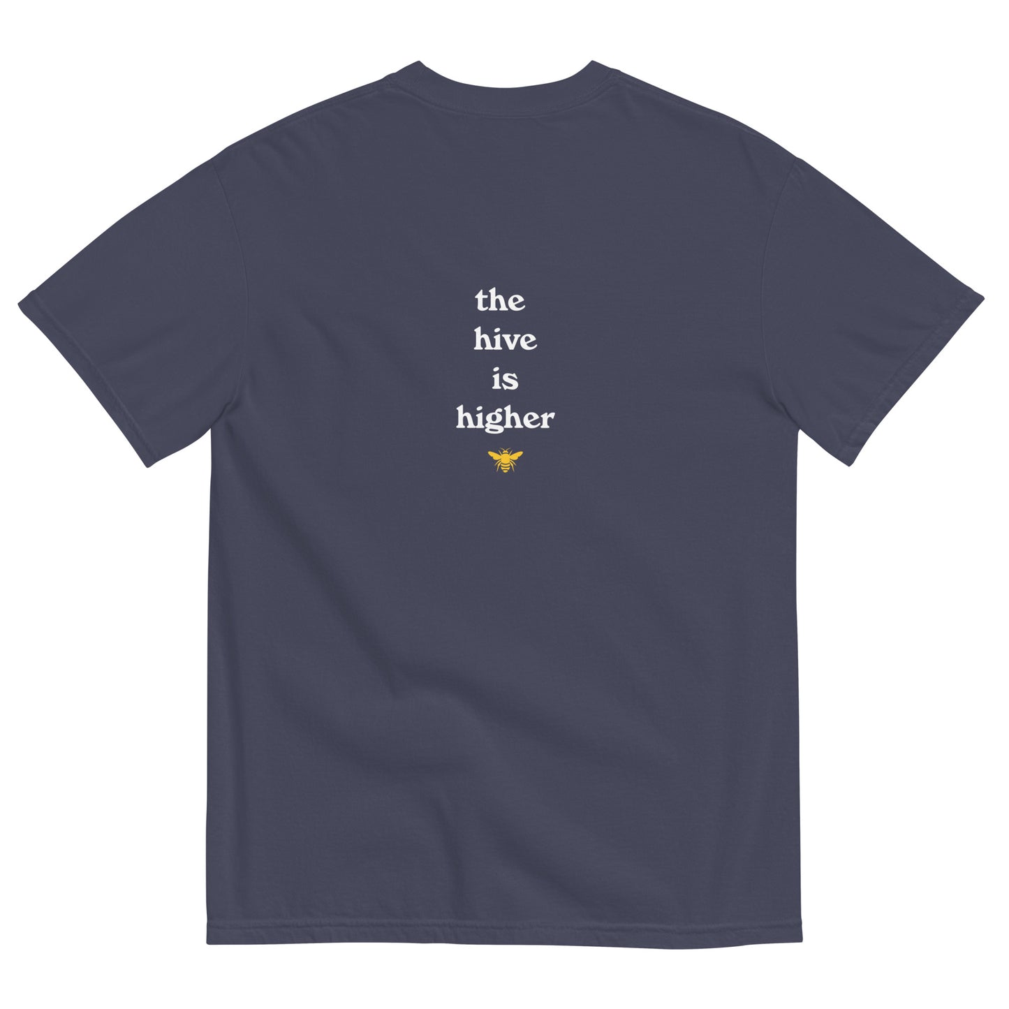 Aspen Summer Academy logo T-Shirt