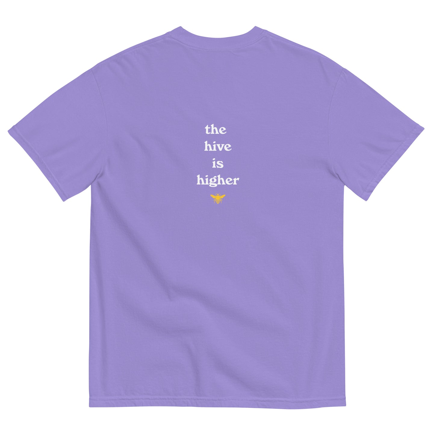 Aspen Summer Academy logo T-Shirt