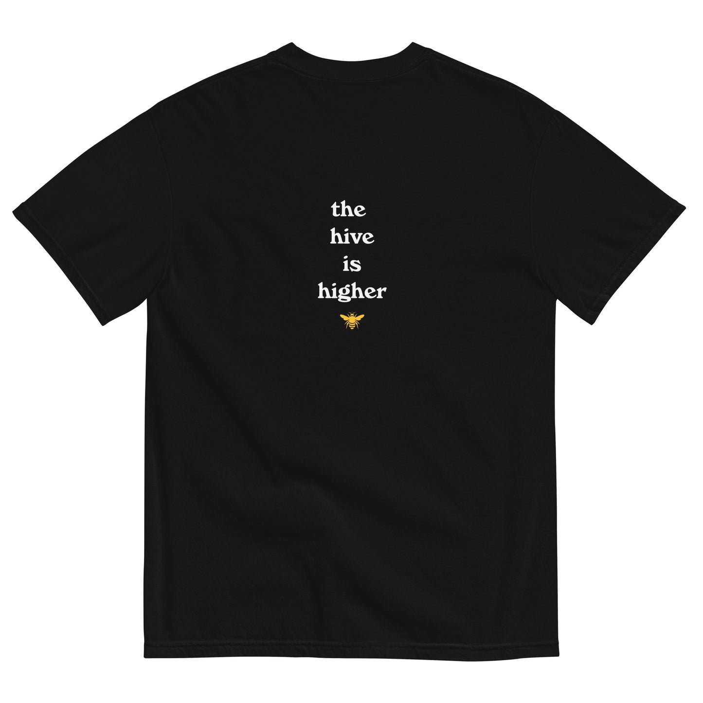 Aspen Summer Academy logo T-Shirt